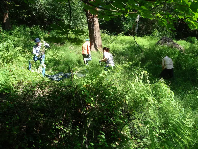 Climate Conference Work Party photo