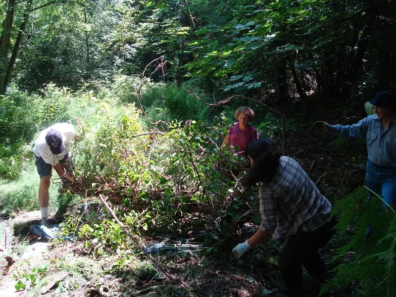 Climate Conference Work Party photo