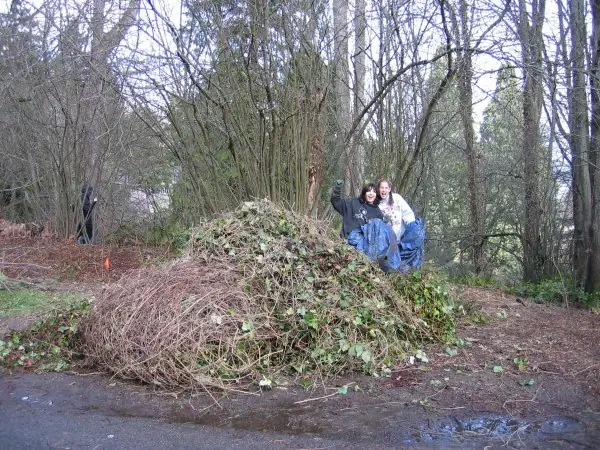 Volunteers next to a large pile of pulled ivy