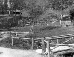 Old Madrona Trails