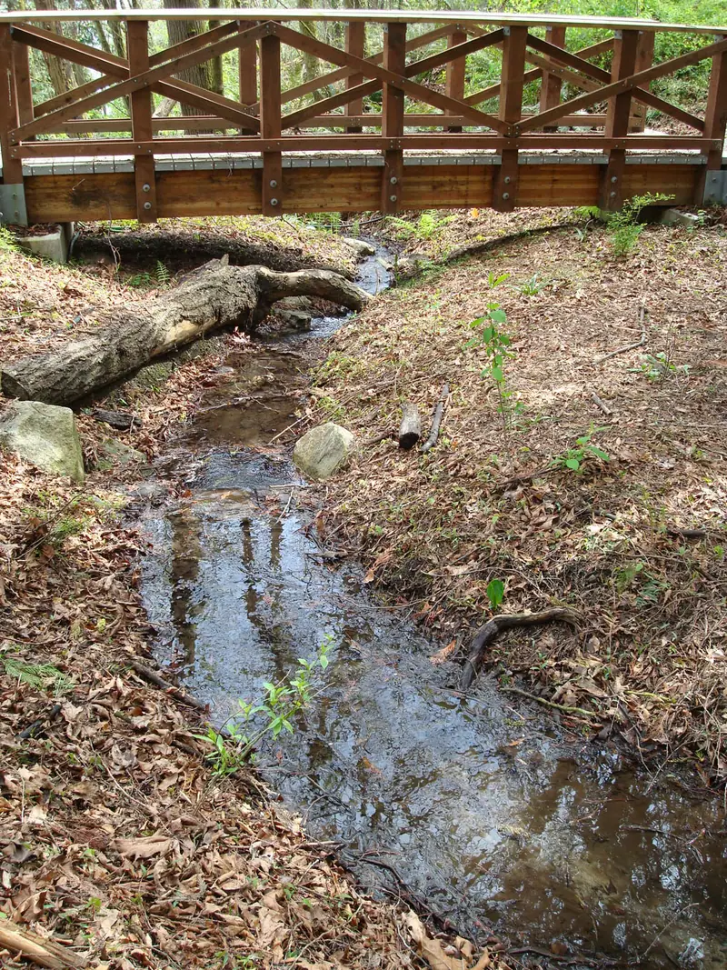 Stream going under spring st bridge