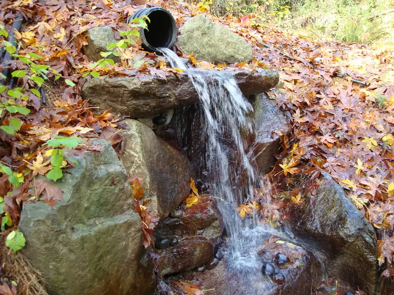 Water spilling from a pipe over mossy rocks in autumn
