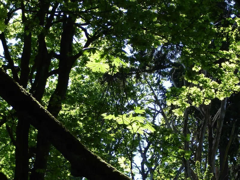 Photo: Ecosystem