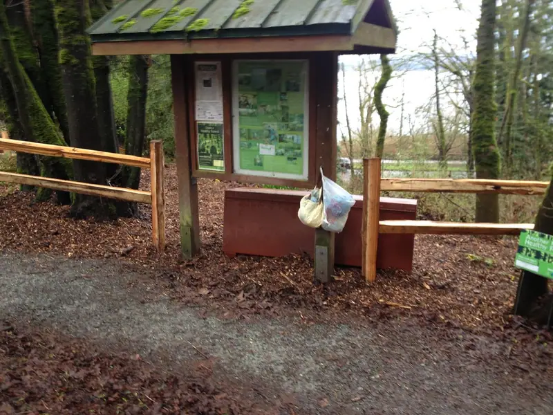 Photo: Vandalism in Madrona Woods