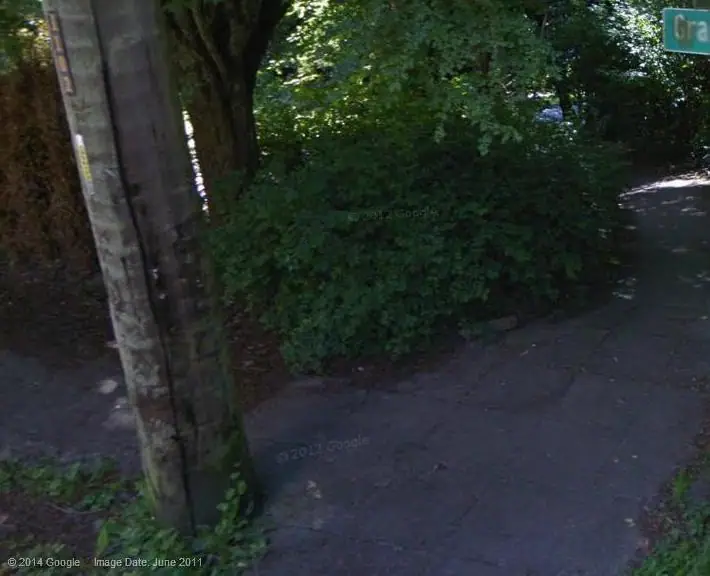 Photo: Vandalism in Madrona Woods