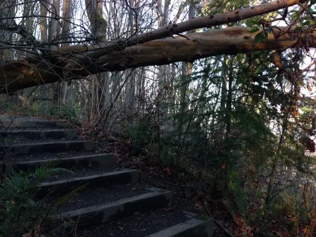 Photo: Two Fallen Sentinels