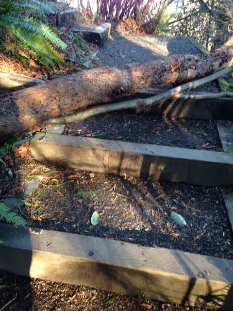 Photo: Two Fallen Sentinels