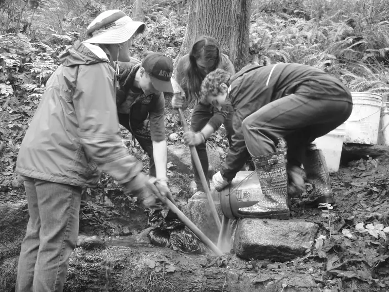 Creek repair 1-15