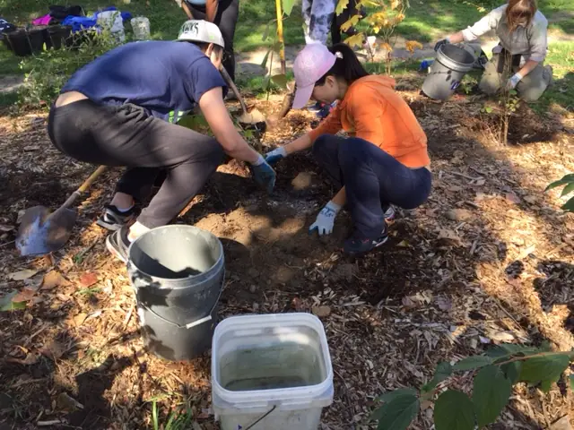 Photo: Lakeside Work Party on a Beautiful Early Fall Day