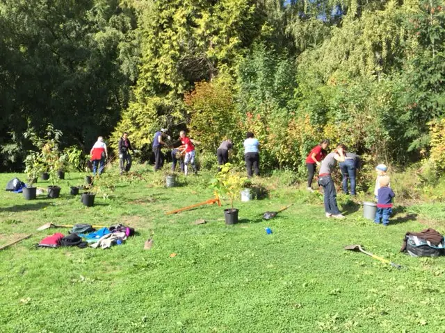 Photo: Lakeside Work Party on a Beautiful Early Fall Day
