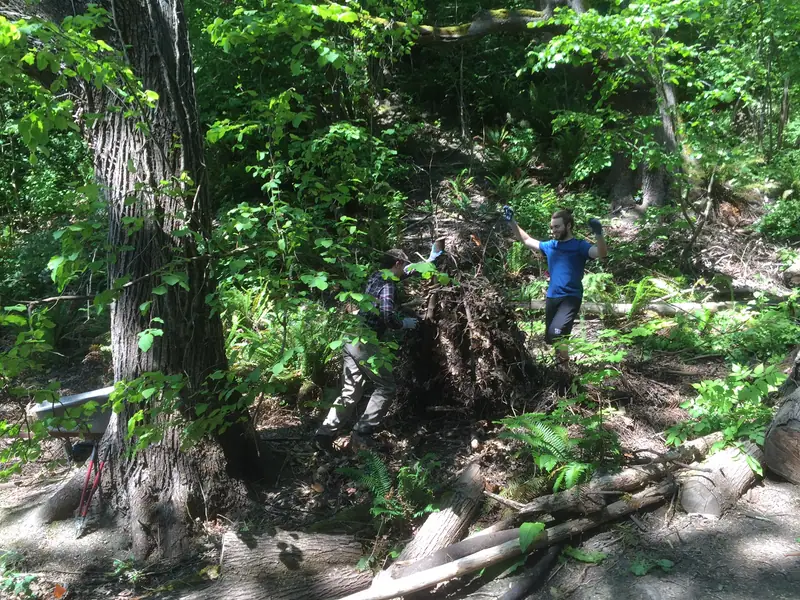 Photo: Thanks to UW Volunteers for Heavy Lifting